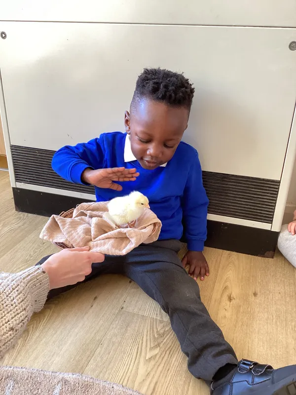 Gallery - created at 2025-04-08 15:36:47 - image 30