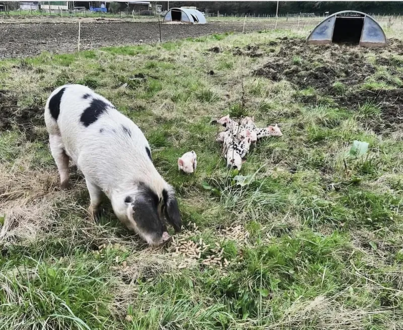 Gallery - created at 2024-05-10 11:40:23 - image 2