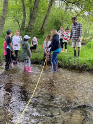 Gallery - created at 2024-10-16 09:57:16 - image 1 Gallery - created at 2024-10-16 09:57:16 - image 1