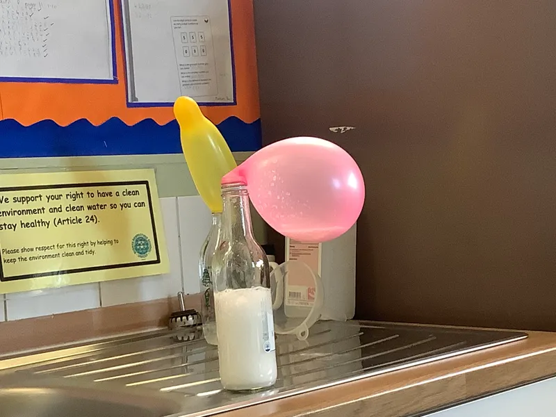 Gallery - created at 2023-01-20 11:02:06 - image 1 Gallery - created at 2023-01-20 11:02:06 - image 1