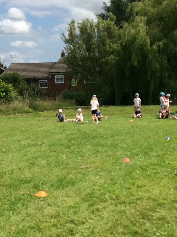 Gallery - image 37 Gallery - image 37