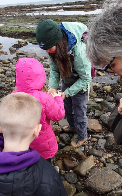 Gallery - created at 2024-10-11 14:26:20 - image 15 Gallery - created at 2024-10-11 14:26:20 - image 15