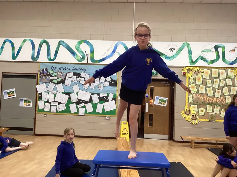 Gymnastics lesson exploring twisted shapes and balances with different points - image 12 Gymnastics lesson exploring twisted shapes and balances with different points - image 12