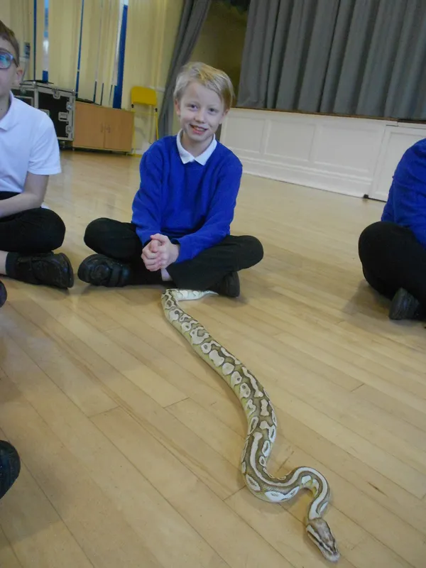 Y6 Reptile Rendezvous - image 59