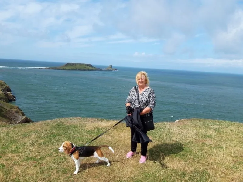 Our School - Bella 8 - image 2