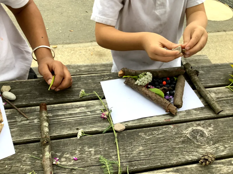 Autumn - image 5 Autumn - image 5