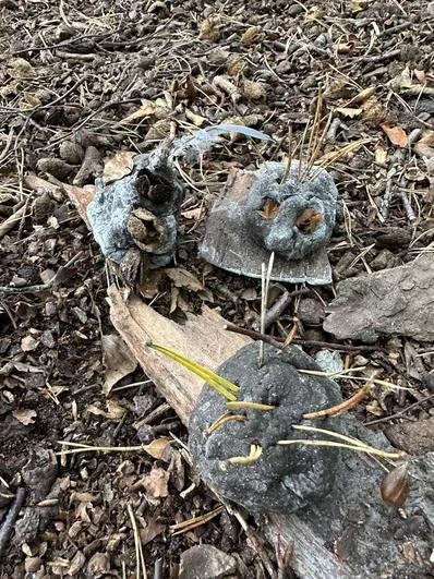 Autumn 2023 - 4th October - Acorns - Fire (solid to liquid - melting chocolate and using fire strikers), making mud play-dough and scavenger hunts! - image 3 Autumn 2023 - 4th October - Acorns - Fire (solid to liquid - melting chocolate and using fire strikers), making mud play-dough and scavenger hunts! - image 3