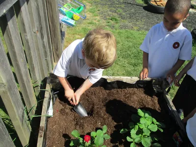 Planting - image 14