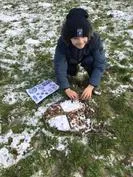 Forest School 83 - image 1 Forest School 83 - image 1