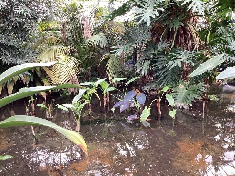 Gallery - created at 2025-03-14 10:11:21 - image 32 Gallery - created at 2025-03-14 10:11:21 - image 32