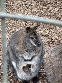 Gallery - created at 2023-03-01 14:01:13 - image 11