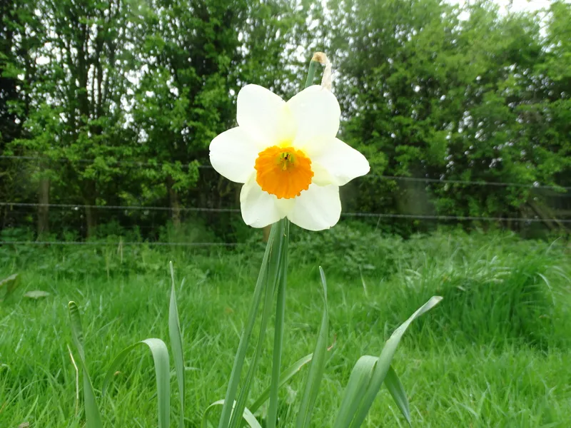 Gallery - created at 2019-05-10 15:17:23 - image 10 Gallery - created at 2019-05-10 15:17:23 - image 10