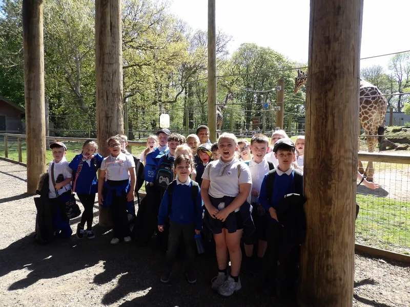 Y3 Yorkshire Wildlife Park Trip - image 20