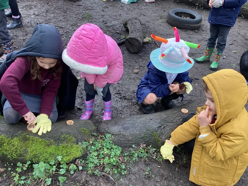 Palm drill decorations  - image 16