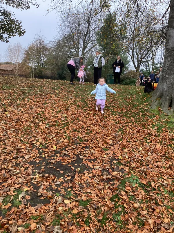 Gallery - created at 2024-11-08 10:10:59 - image 29 Gallery - created at 2024-11-08 10:10:59 - image 29