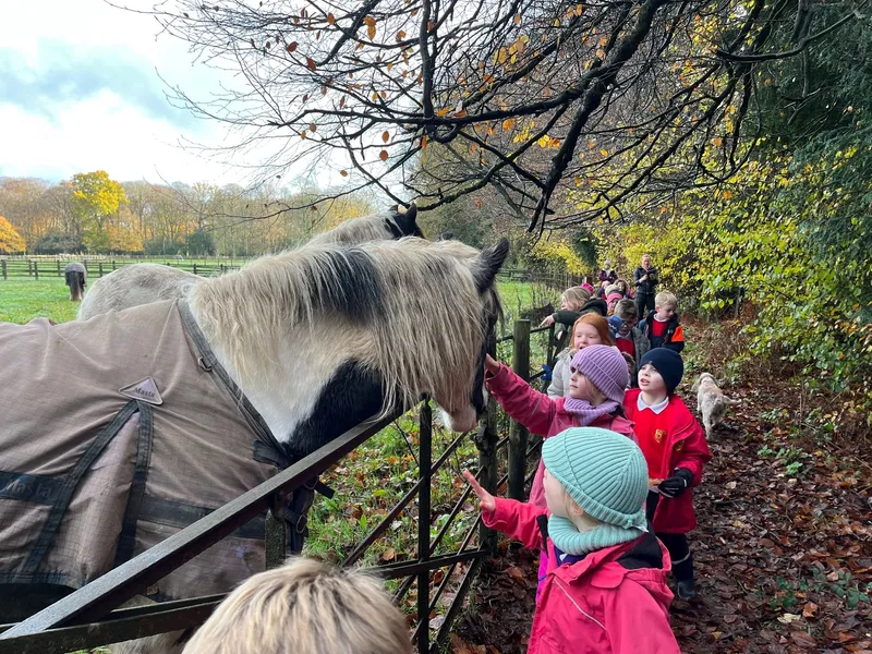 Gallery - created at 2022-11-30 11:57:58 - image 5