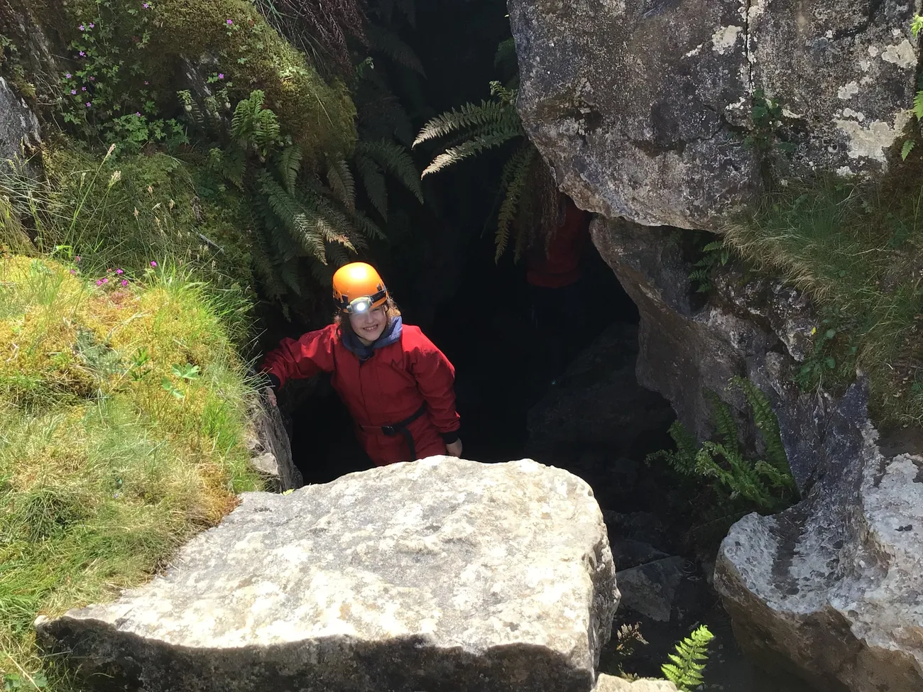 Gallery - created at 2022-06-07 22:51:19 - image 22 Gallery - created at 2022-06-07 22:51:19 - image 22