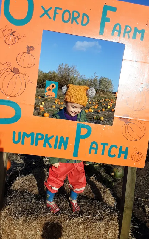 Gallery - created at 2024-10-25 14:50:36 - image 13 Gallery - created at 2024-10-25 14:50:36 - image 13