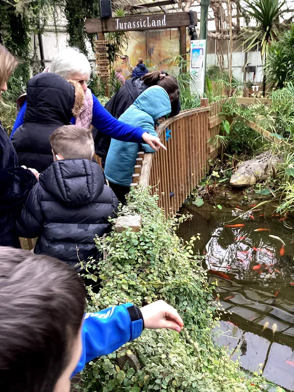 Yellow Class Trip to St John's 2026  - image 3