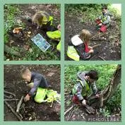 Forest School 37 - image 4 Forest School 37 - image 4