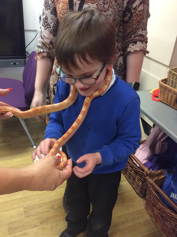 Gallery - created at 2024-03-05 13:52:56 - image 17 Gallery - created at 2024-03-05 13:52:56 - image 17