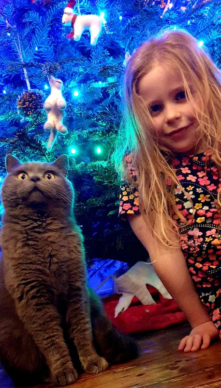 Gallery - created at 2021-12-10 09:57:37 - image 51