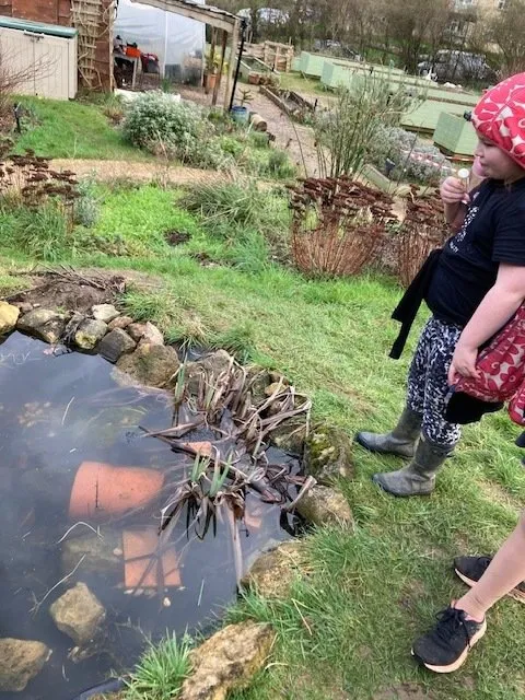 Year 5 and 6 pupils. - image 12