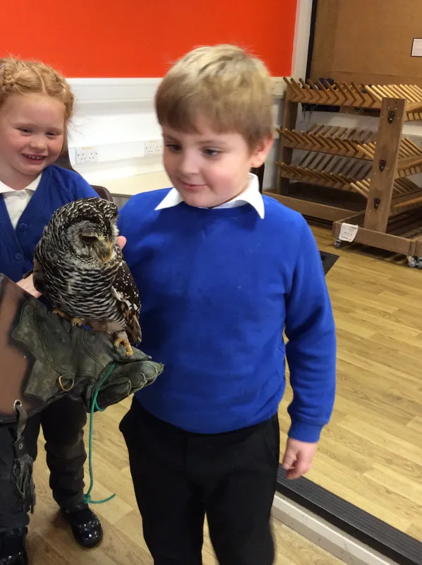 Gallery - created at 2024-02-26 17:15:57 - image 16 Gallery - created at 2024-02-26 17:15:57 - image 16