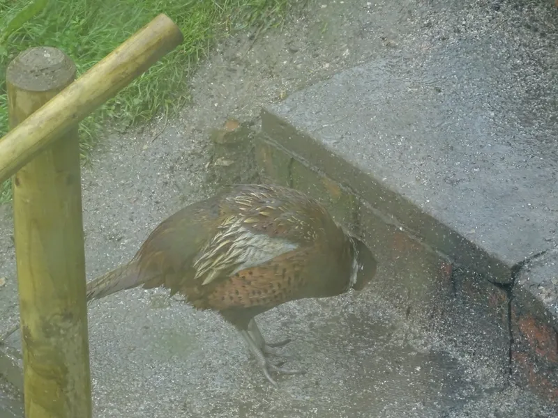 Gallery - created at 2019-05-17 14:29:26 - image 15 Gallery - created at 2019-05-17 14:29:26 - image 15