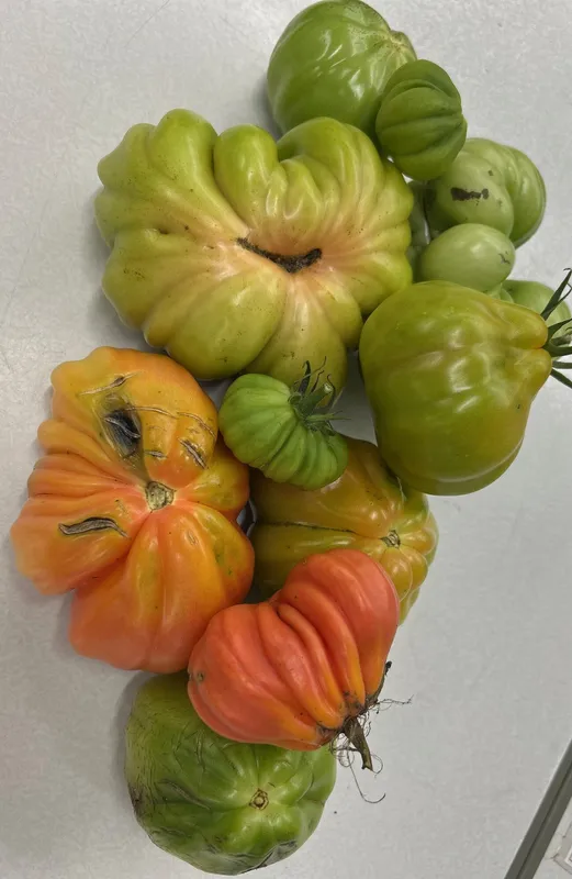 Gallery - created at 2025-10-12 10:09:35 - image 2