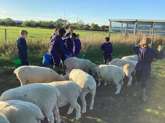 Farm Trip 25 - Gallery 2 - image 20