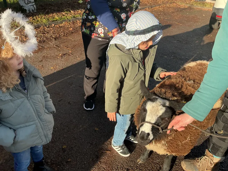 Stella farm on wheels Part 1 - image 56