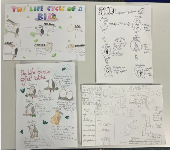 Year 5 - image 3
