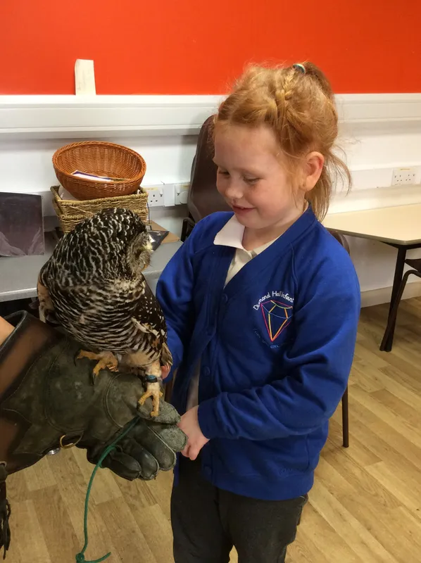 Gallery - created at 2024-02-26 17:15:57 - image 11 Gallery - created at 2024-02-26 17:15:57 - image 11