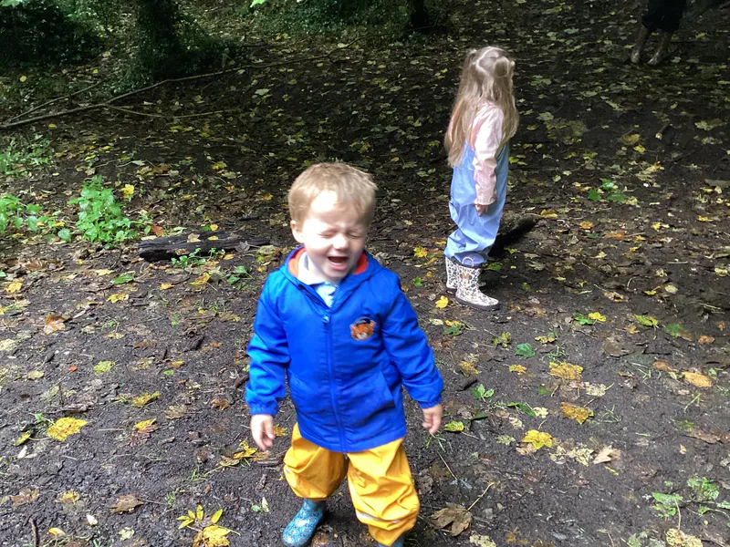 Nursery Fun in the Woods - image 2 Nursery Fun in the Woods - image 2