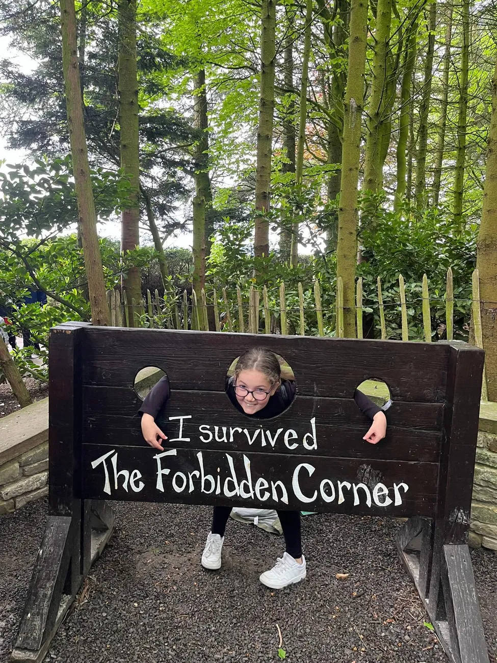 Gallery - created at 2024-06-06 15:19:10 - image 26