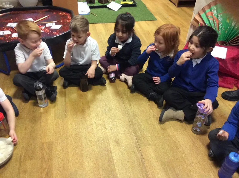 Gallery - created at 2024-03-06 09:58:48 - image 7 Gallery - created at 2024-03-06 09:58:48 - image 7