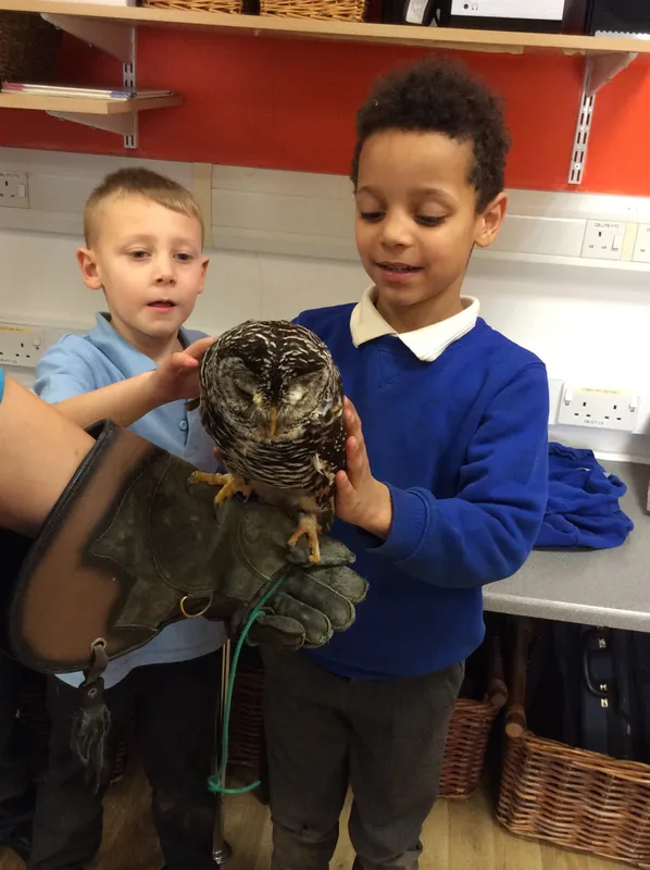 Gallery - created at 2024-02-26 17:15:57 - image 9 Gallery - created at 2024-02-26 17:15:57 - image 9