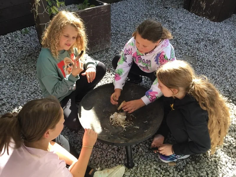 Gallery - created at 2024-09-16 20:10:15 - image 9 Gallery - created at 2024-09-16 20:10:15 - image 9