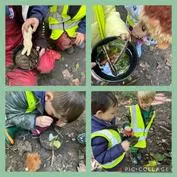 Forest School 31 - image 3 Forest School 31 - image 3