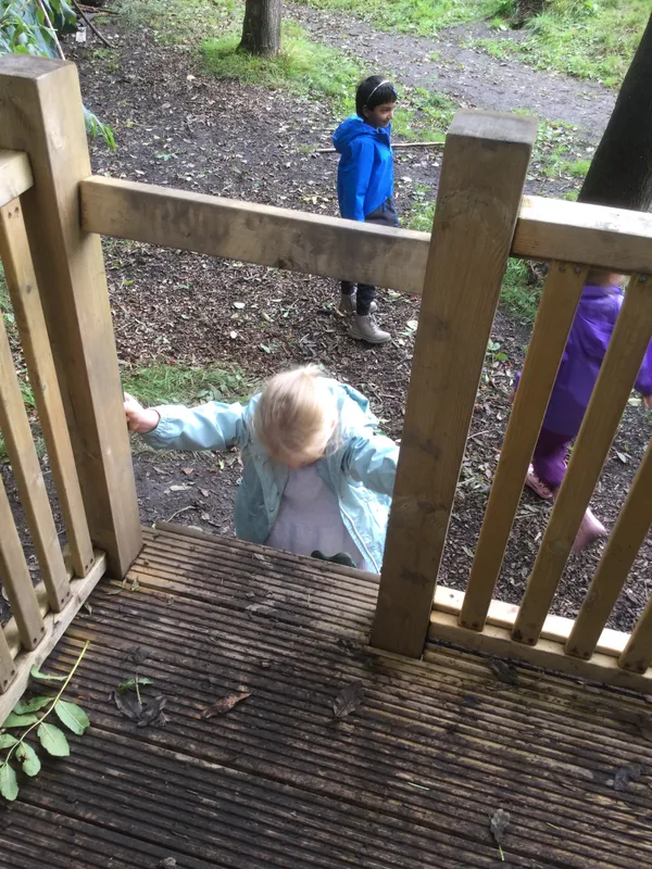 Cedar Forest School - image 23