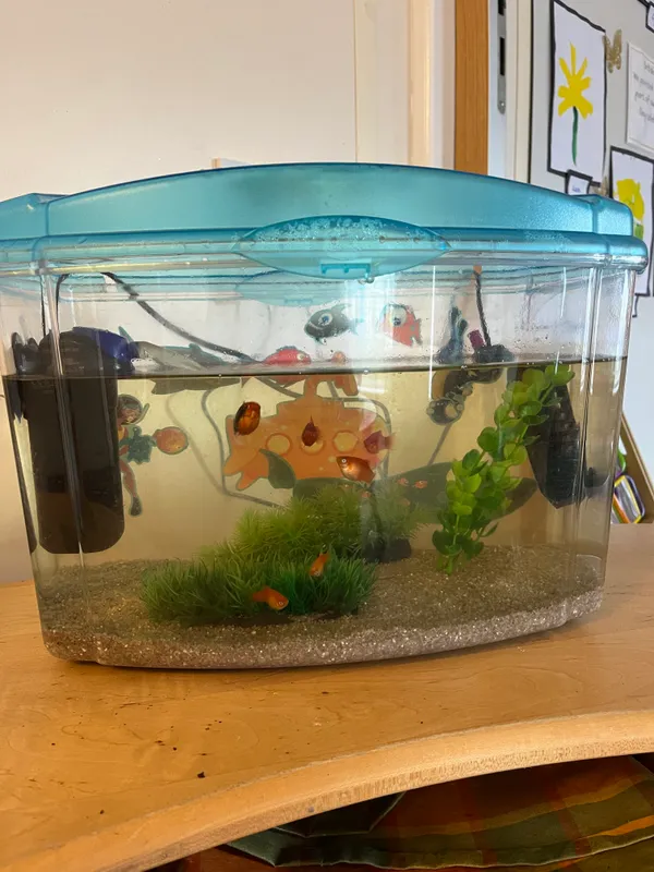 Gallery - created at 2024-04-11 12:57:39 - image 10 Gallery - created at 2024-04-11 12:57:39 - image 10