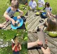 Forest School 68 - image 3 Forest School 68 - image 3