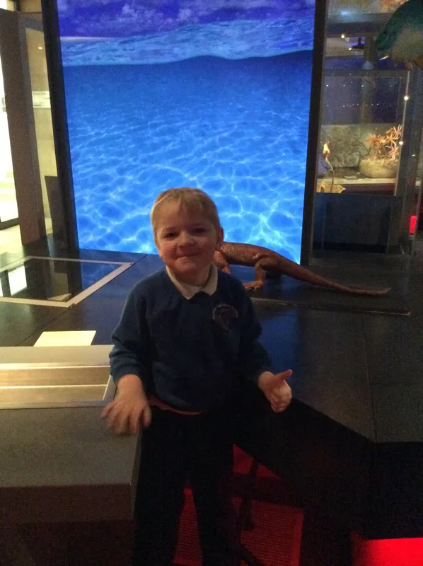 Gallery - created at 2024-02-09 11:53:37 - image 62