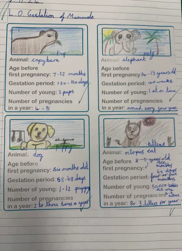 Gallery - created at 2025-01-04 10:24:52 - image 5