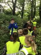 Forest School 94 - image 1 Forest School 94 - image 1