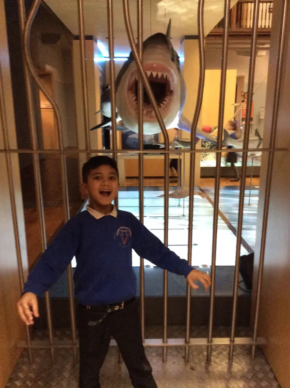 Gallery - created at 2024-02-09 11:53:37 - image 50