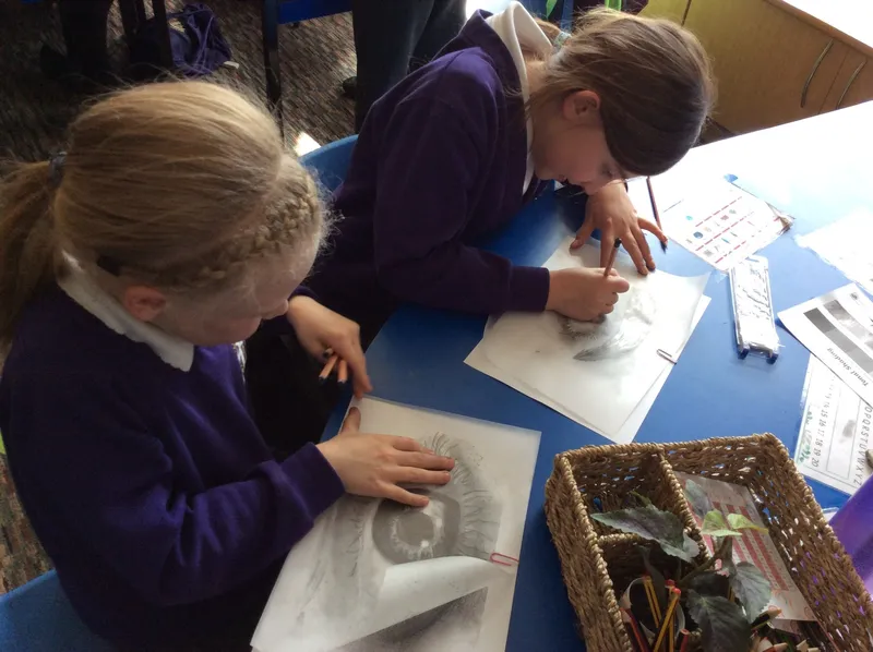 Gallery - created at 2023-05-19 14:12:47 - image 1