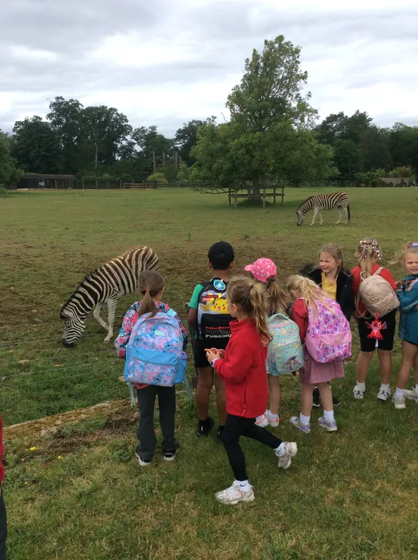 Year 1 trip to Cotswold Wildlife Park - image 8 Year 1 trip to Cotswold Wildlife Park - image 8