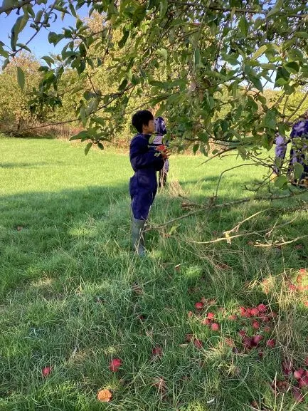 Farm Trip 25 - Gallery 2 - image 28